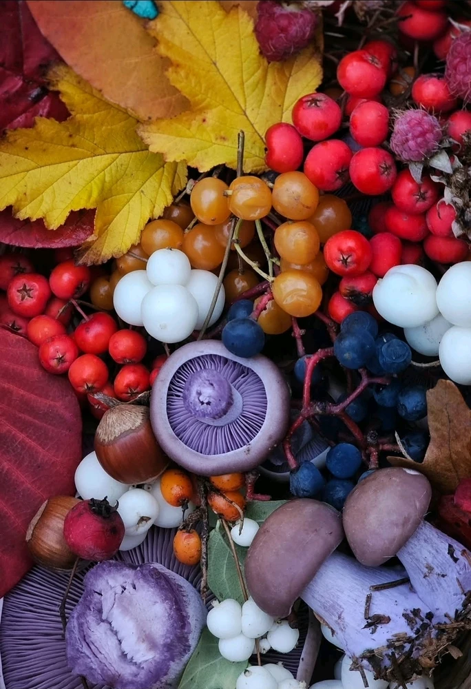 Image uploaded by 🔆🥨🔅Koffy🔅🌰🔆