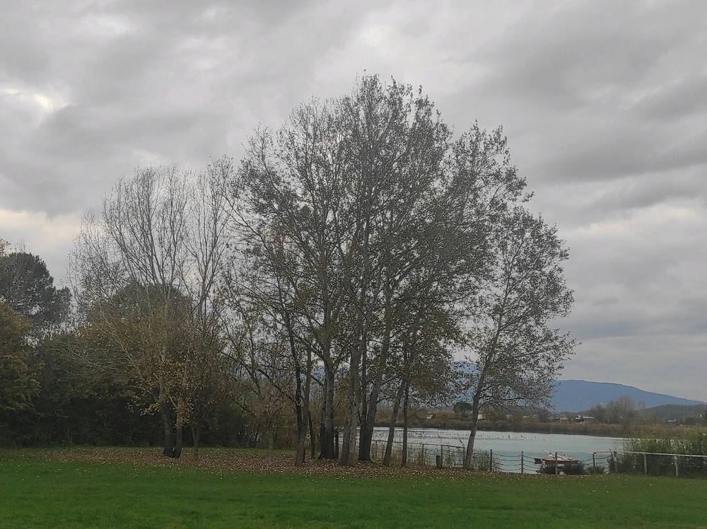 GIF caricata da Francesco