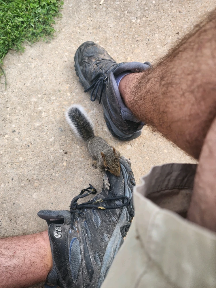 GIF uploaded by Eric