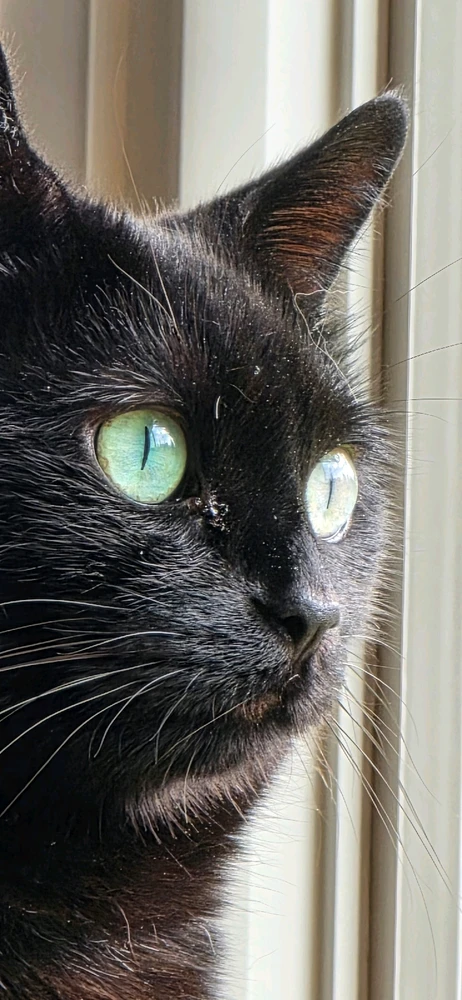 Happy Friday from Lawnchair!