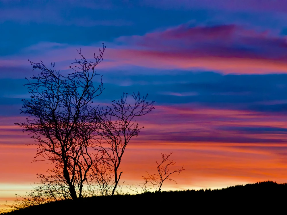 Obrázek nahrál Michal