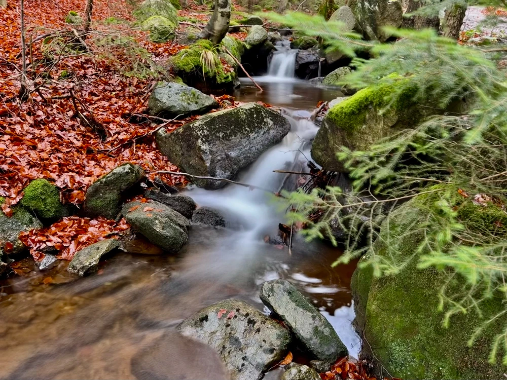 Obrázek nahrál Michal
