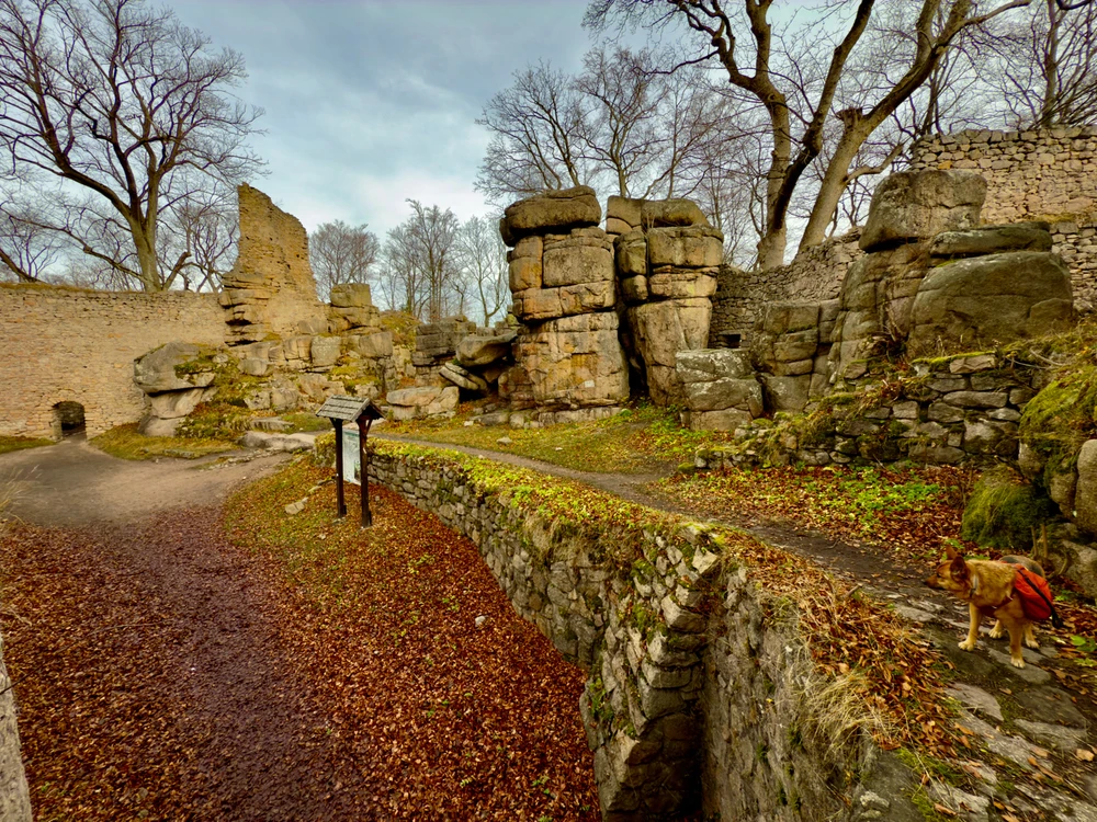 Obrázek nahrál Michal