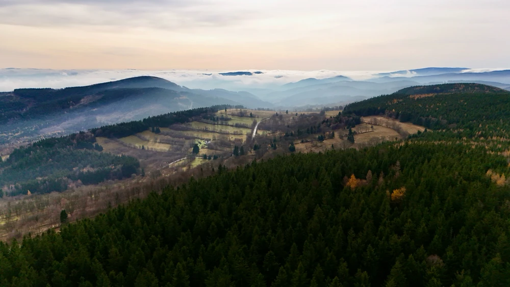 Obrázek nahrál Michal