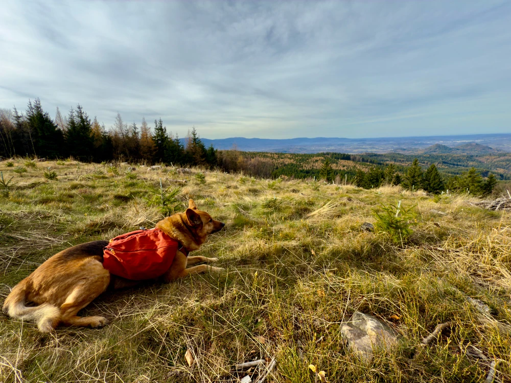 Obrázek nahrál Michal