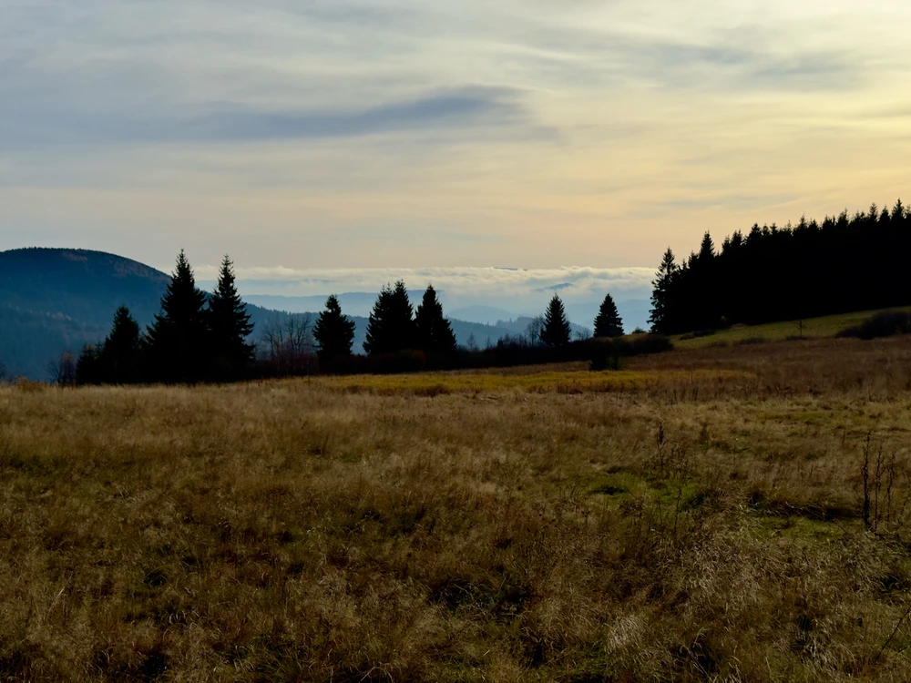 Obrázek nahrál Michal