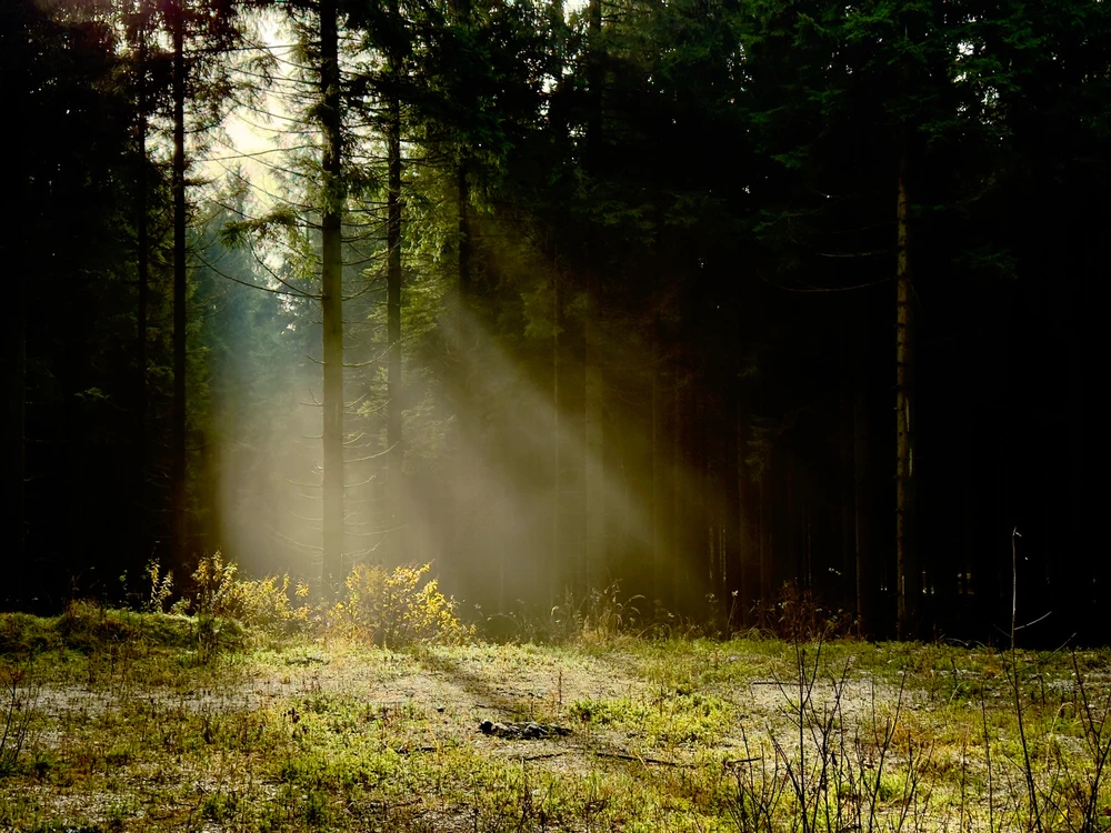 Obrázek nahrál Michal