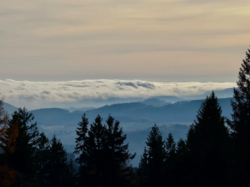 Obrázek nahrál Michal
