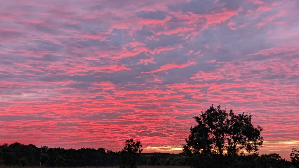 GIF uploaded by LostinWiFi