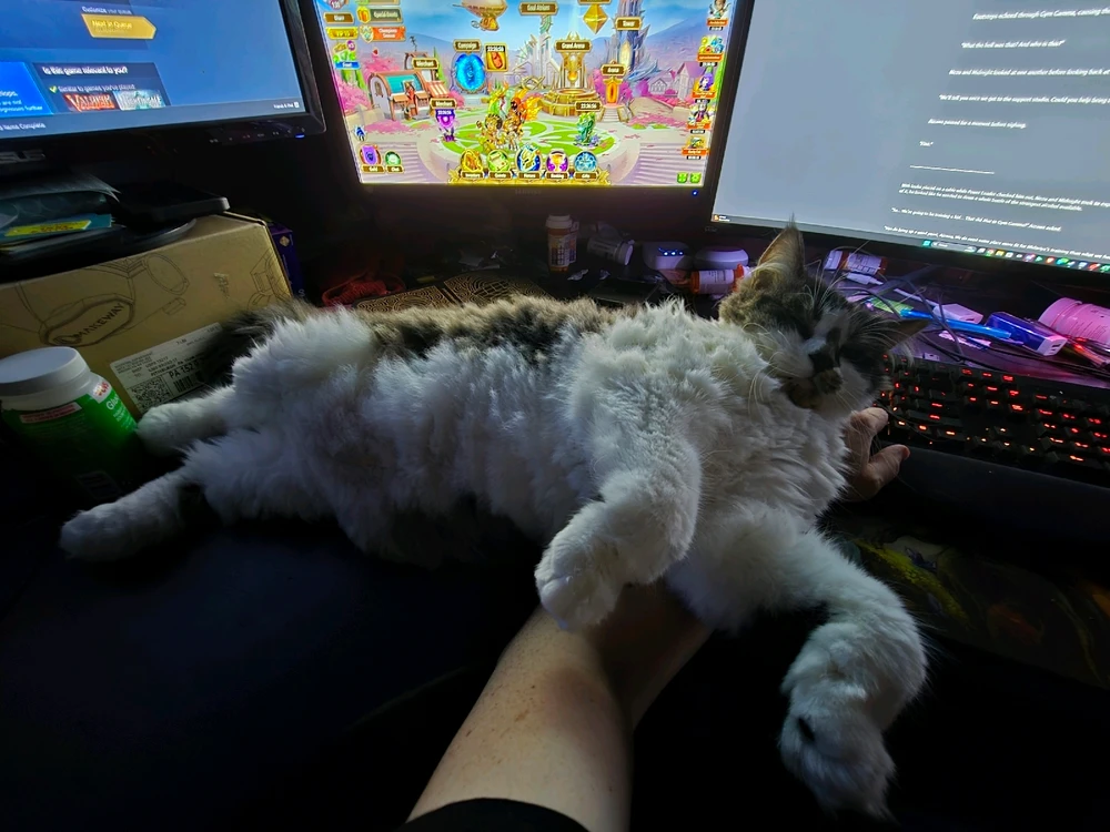 My fur babies, Asuna and Kirito. Just wishing all of you and your own furry children a happy Friday!