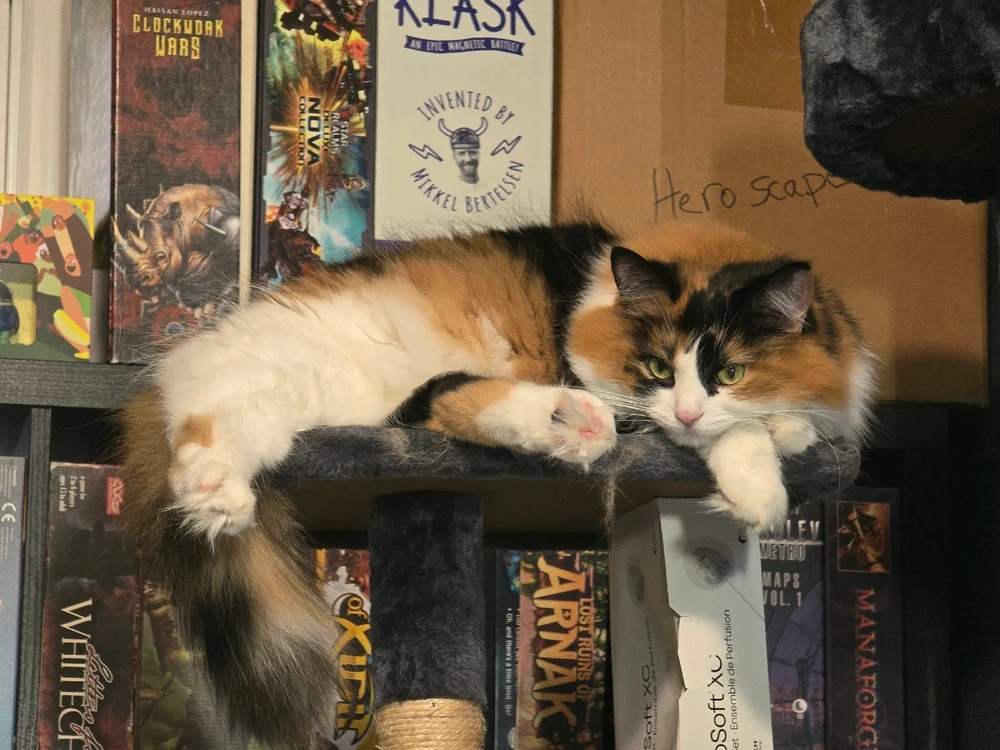 My fur babies, Asuna and Kirito. Just wishing all of you and your own furry children a happy Friday!