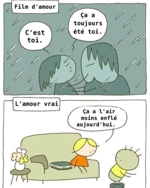 Une très bonne soirée à tous 😊