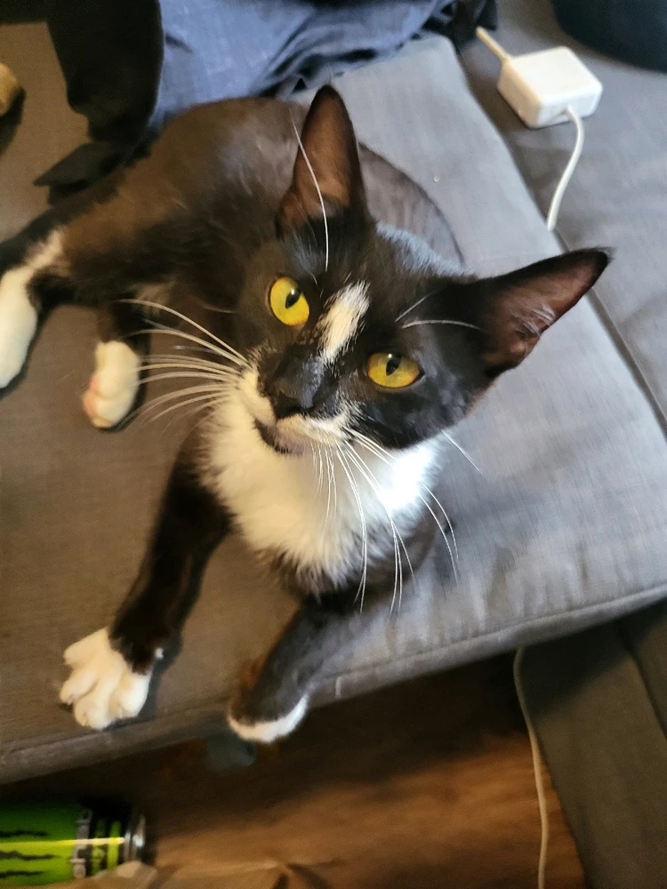 Image uploaded by Ethan