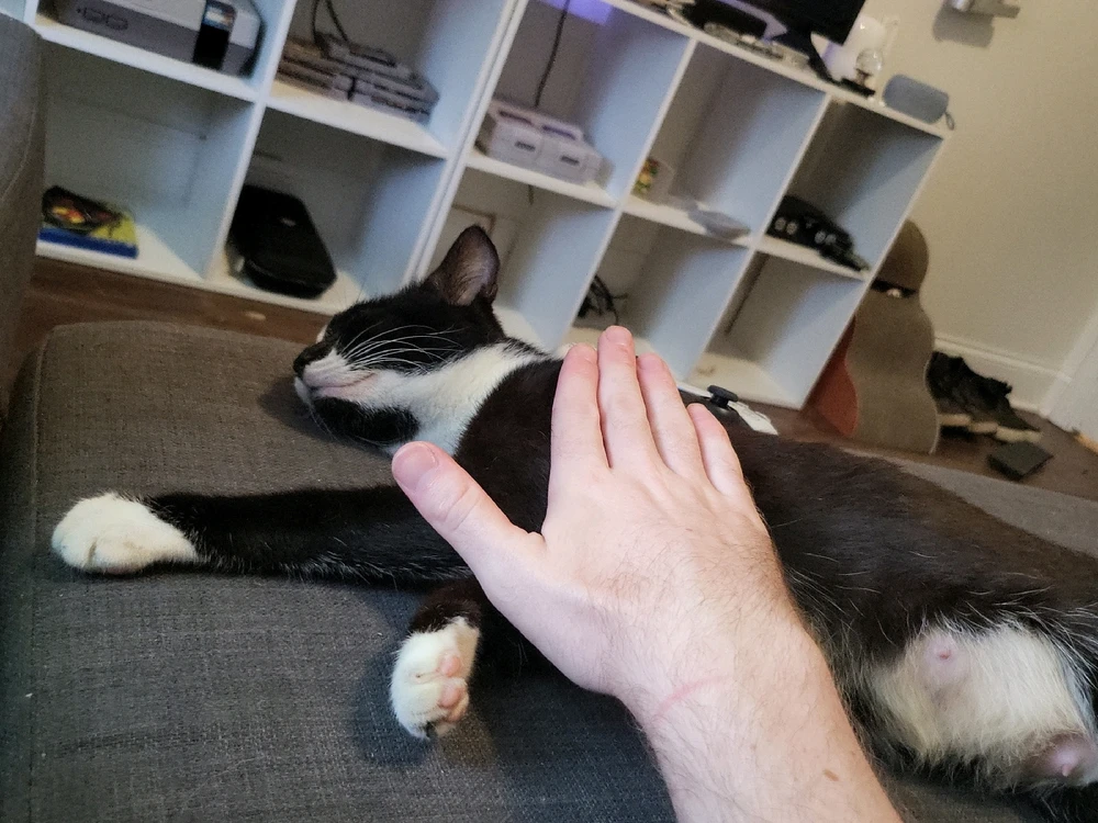 Image uploaded by Ethan