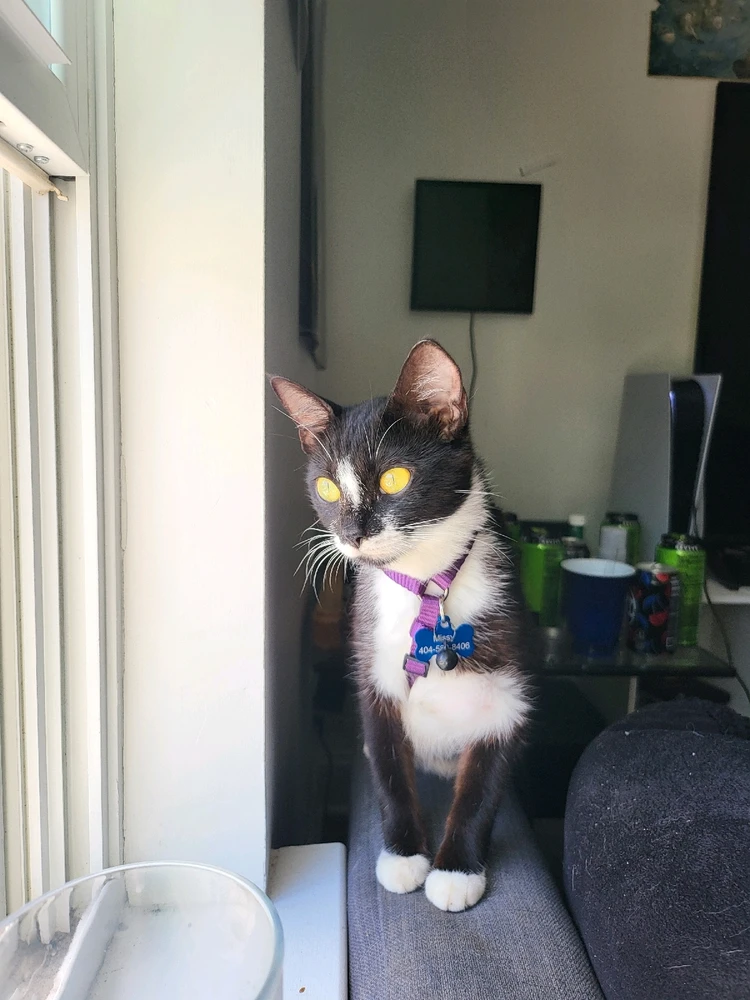 Image uploaded by Ethan