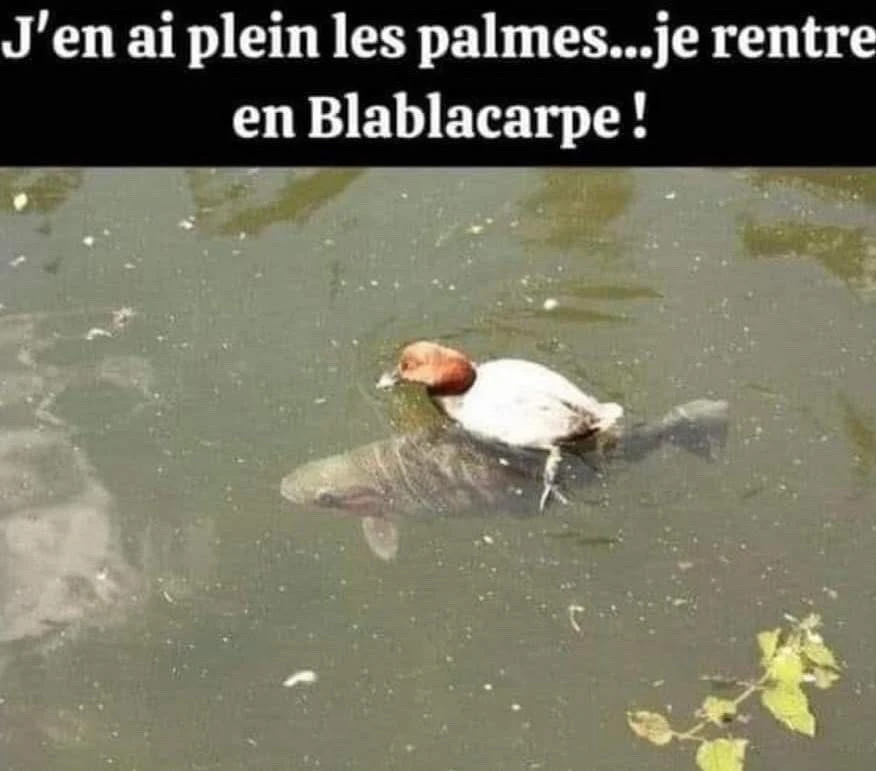 GIF ajouté par Benoît