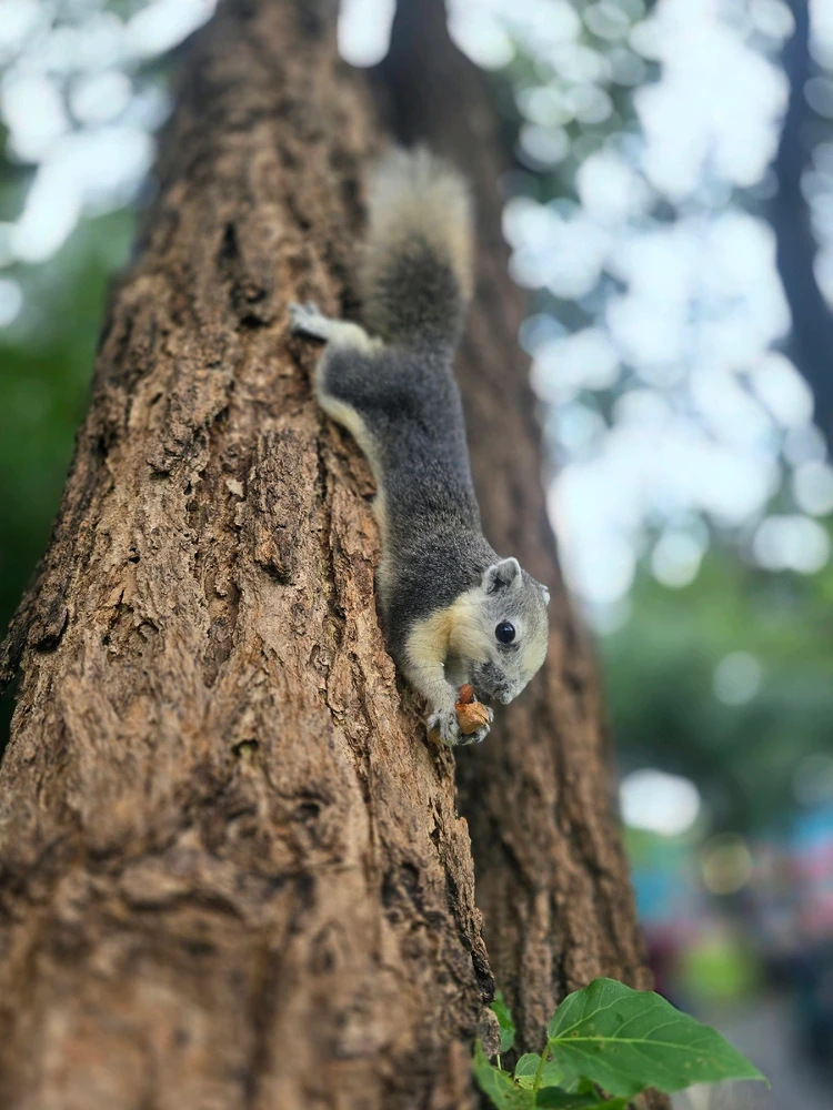 GIF uploaded by Waderland