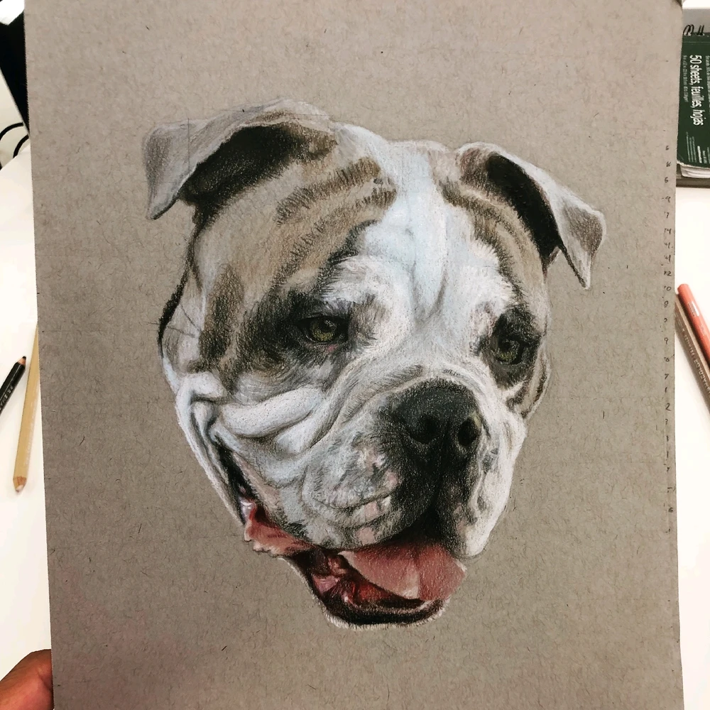 Colored pencil portrait