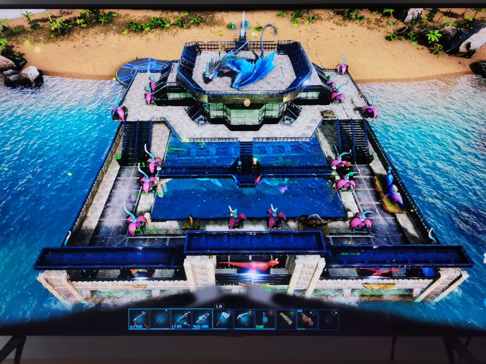 Image uploaded by Kerry Martin-Noble