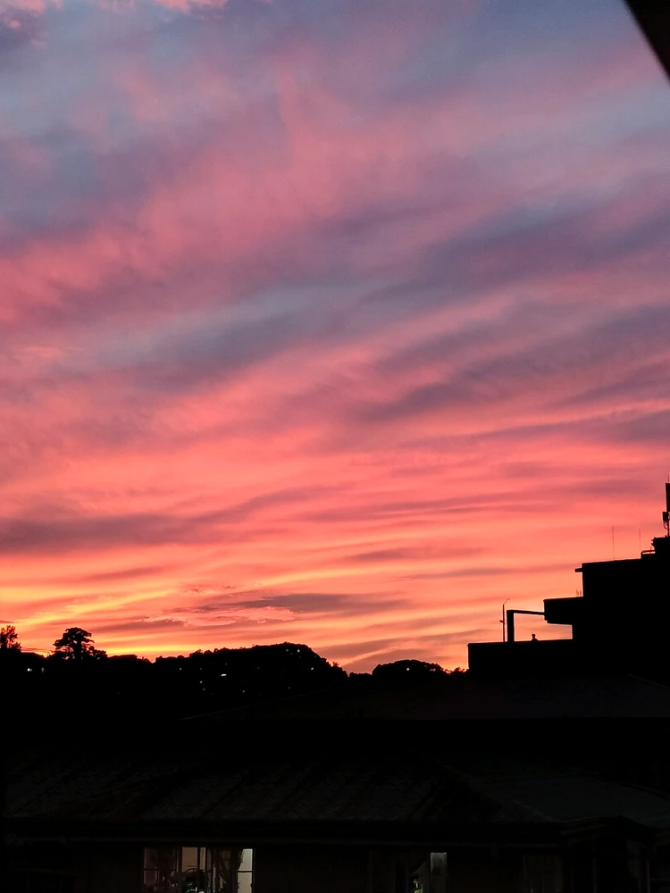 Image uploaded by Dwayne