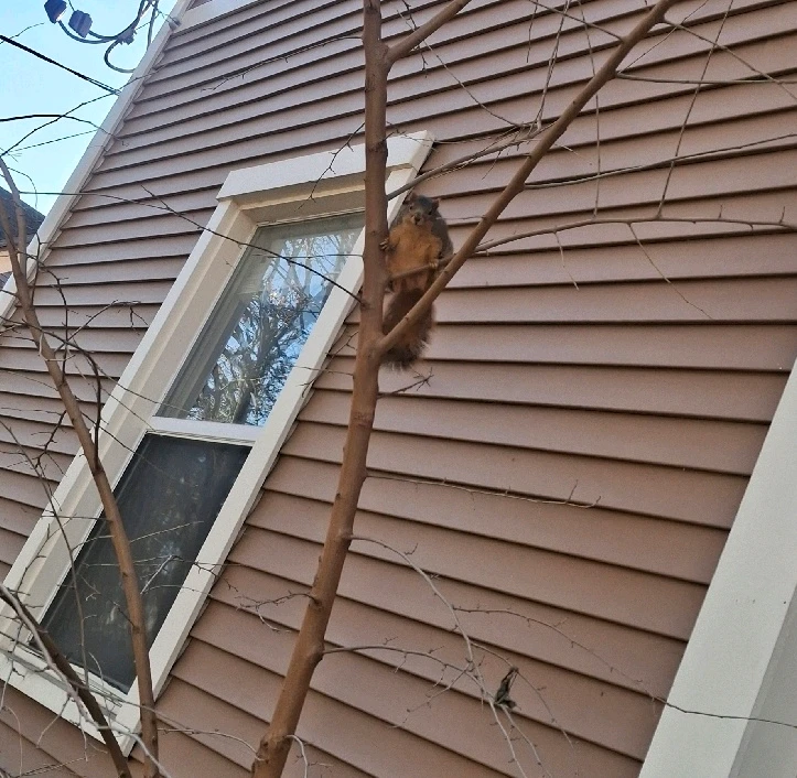 GIF uploaded by Parker