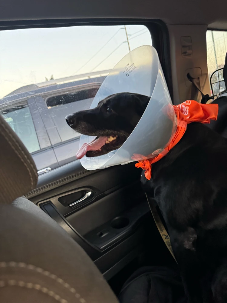 This what happens when you break your nail off.