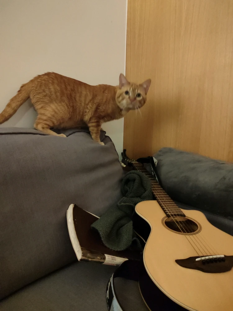 The best things in life