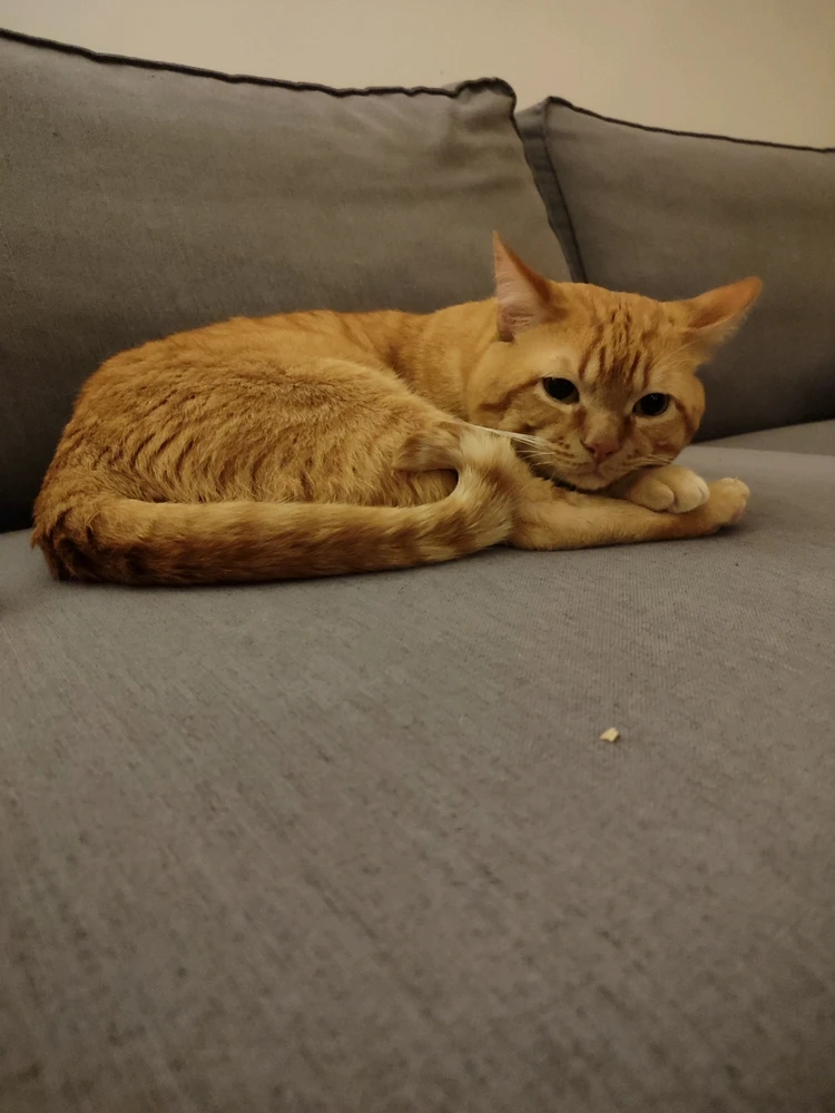 The best things in life