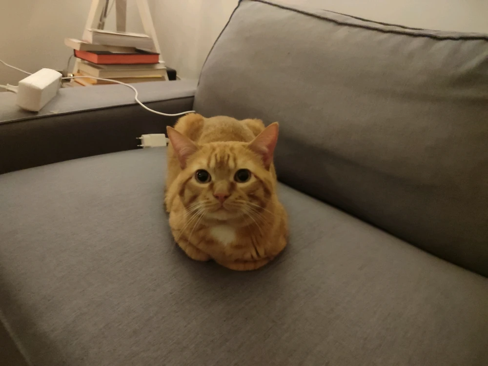 The best things in life