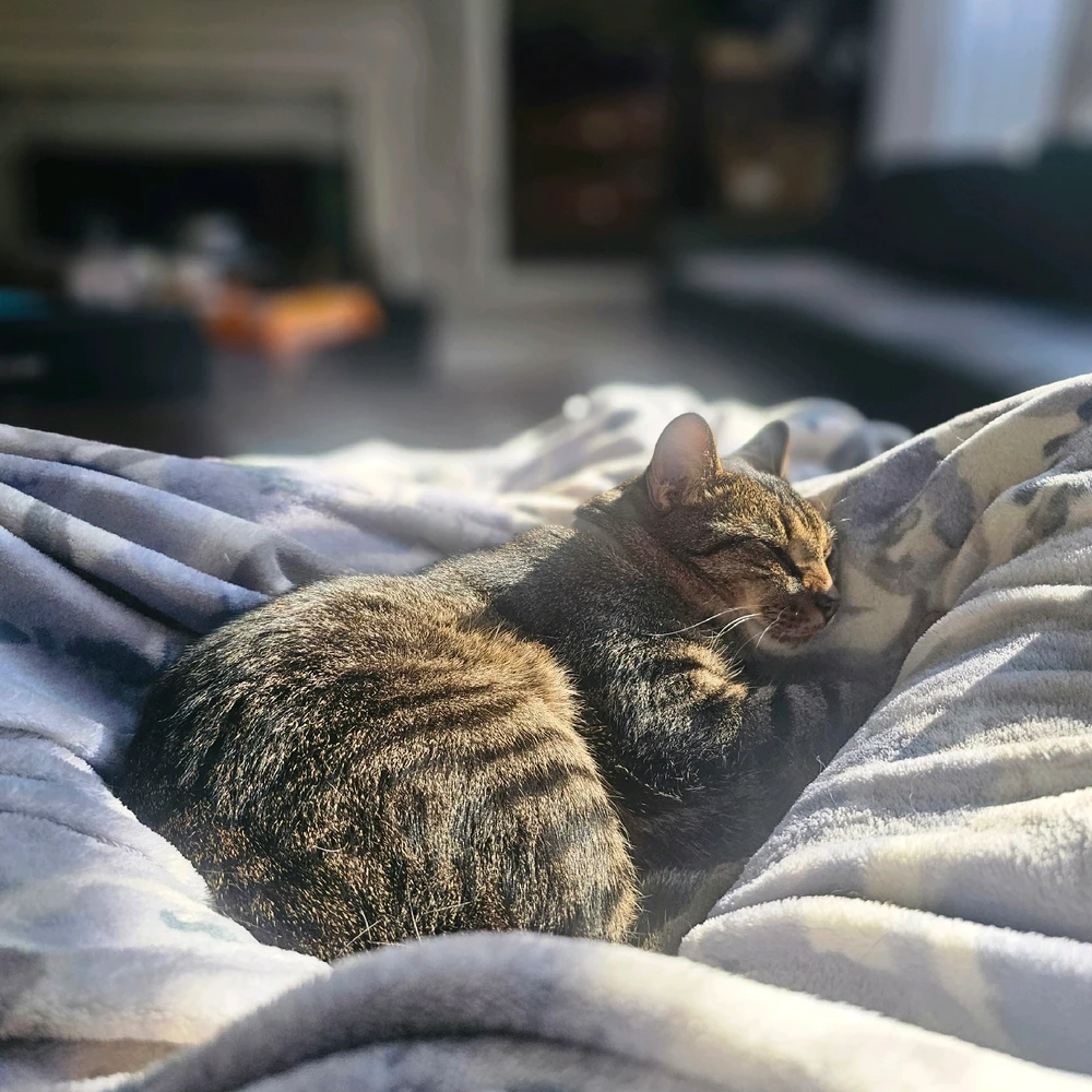 The throne I've become