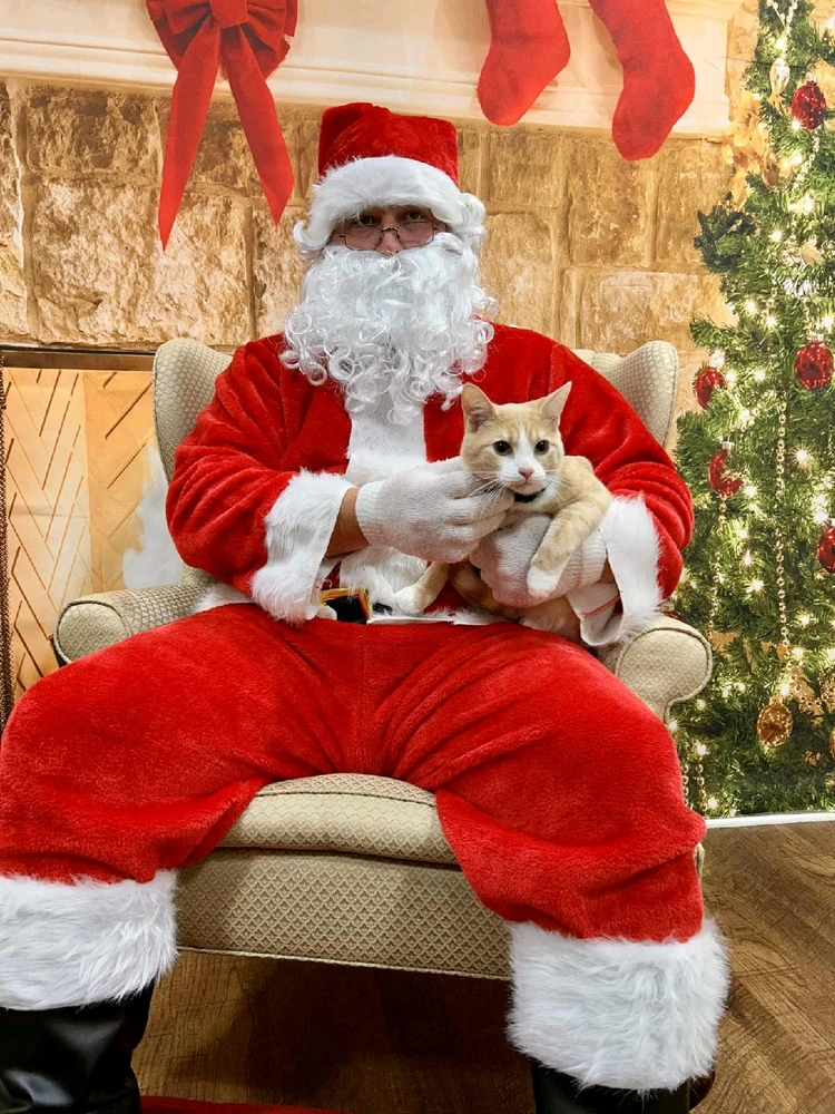 Early start to the holiday but I had to! Santa was booked for the rest of the season :p