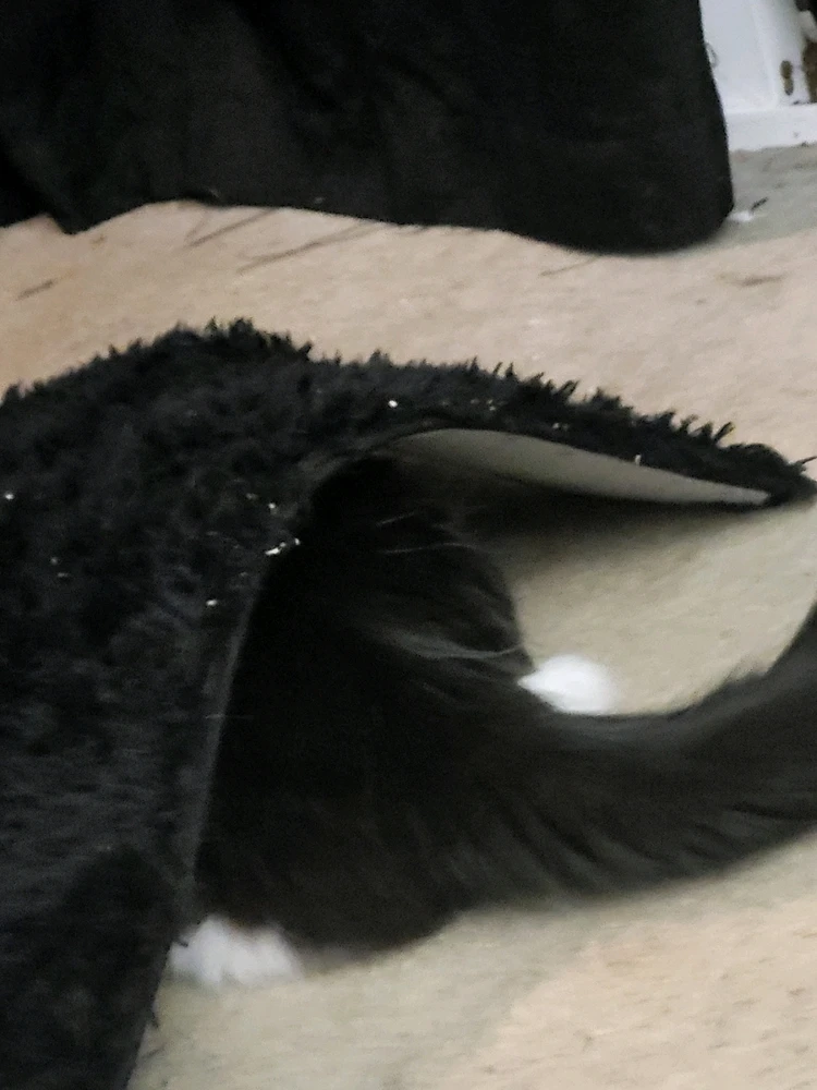 Oh Bianca... Always being cute and
sneaky!
π« πΆβπ«οΈππ»πΉ