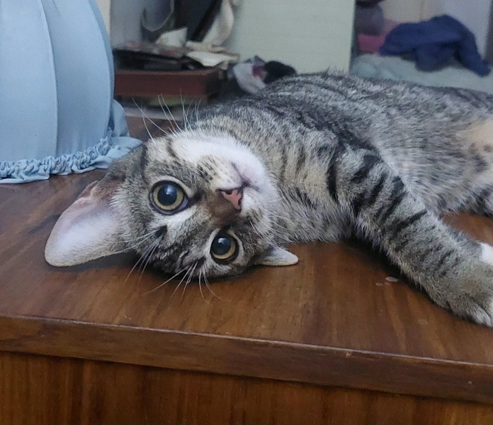 Always looking at me with those big beautiful eyes