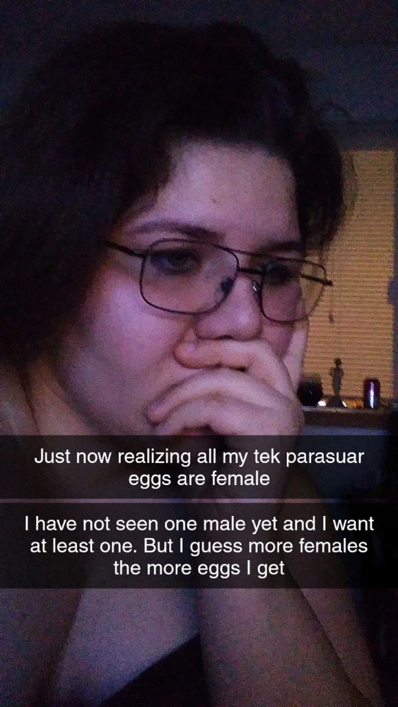 GIF uploaded by Shay