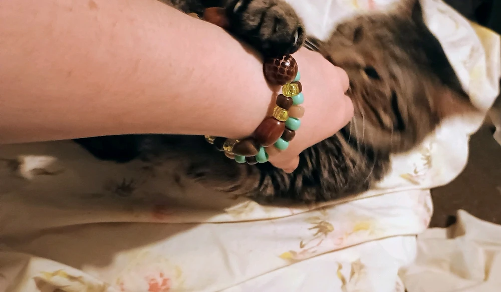 My precious dumbass cat