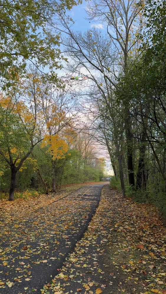 Out for a morning walk with the dogs. Looking for someone who likes slow walks and good vibes.