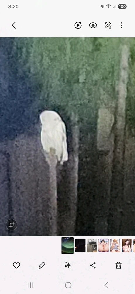 Gambar diunggah dening Chris