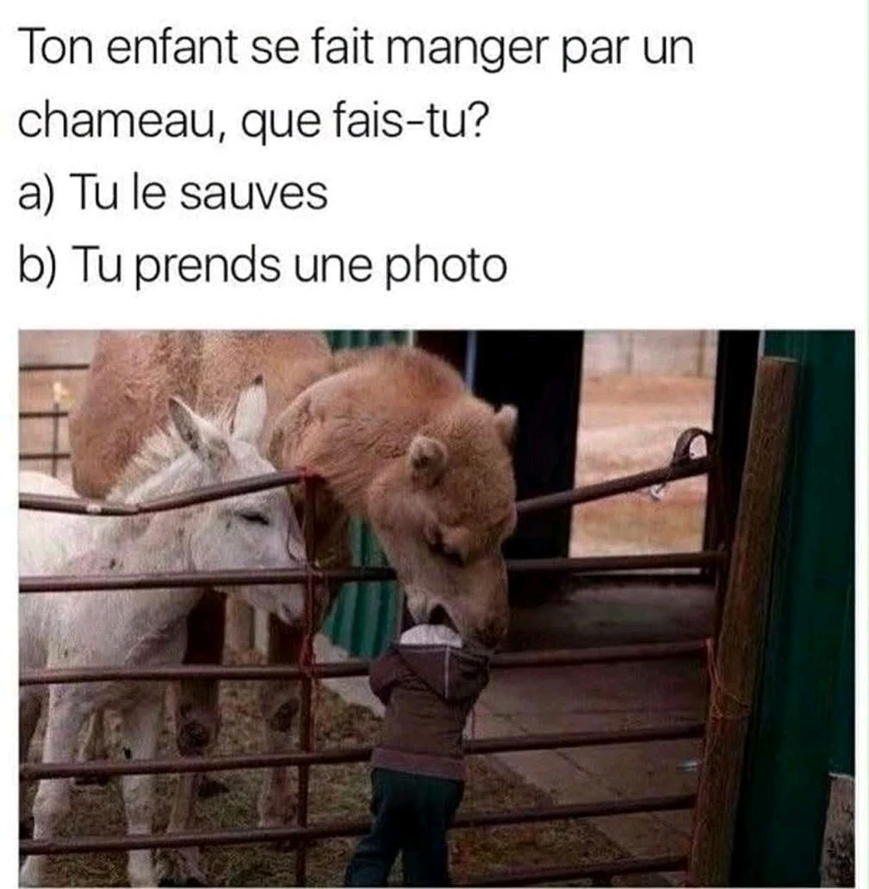 GIF ajouté par ૮h૨เรtσρhε™