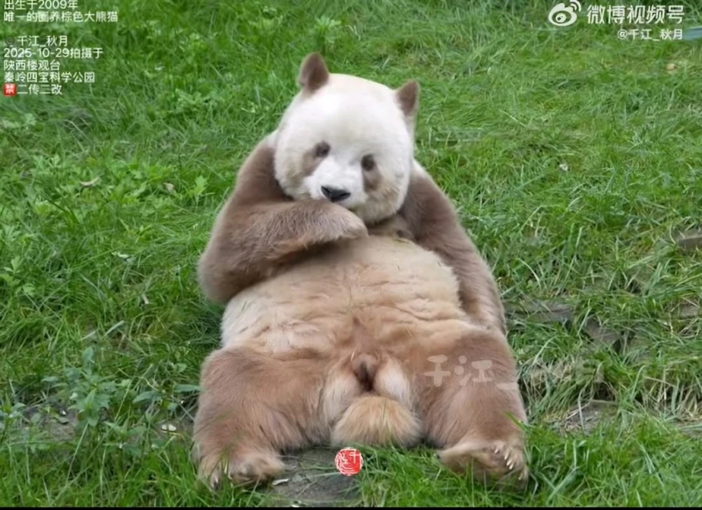 GIF được Thì lì tải lên