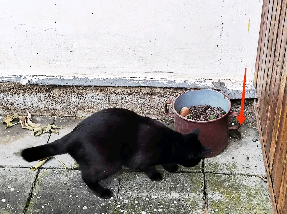 GIF nahrál ⭕⭕ Hlubina