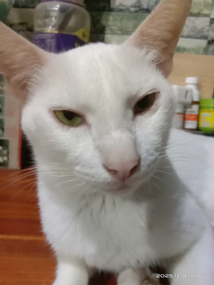 Sleepy "Tisoy" π½π»πΊ