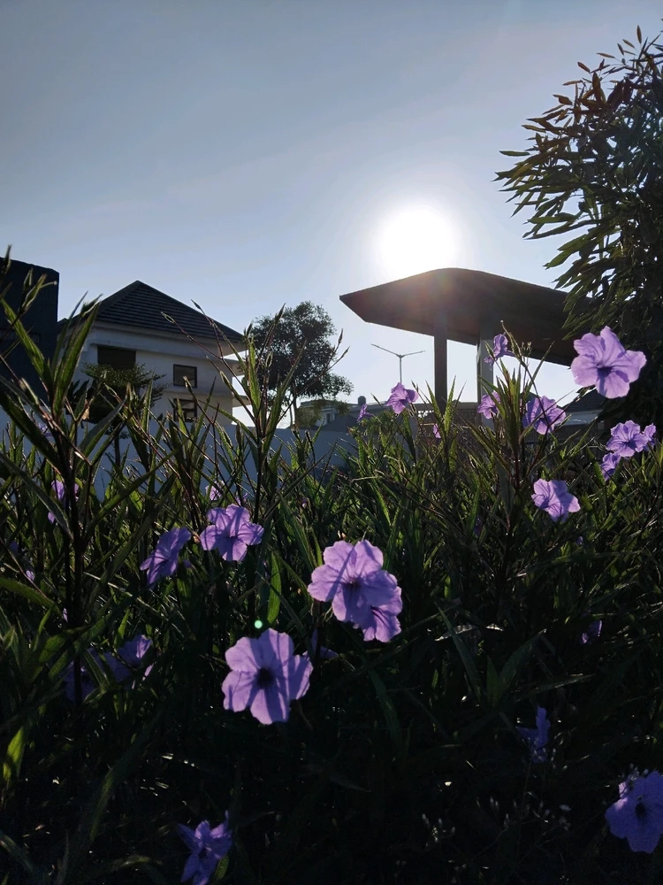 Image uploaded by Decy