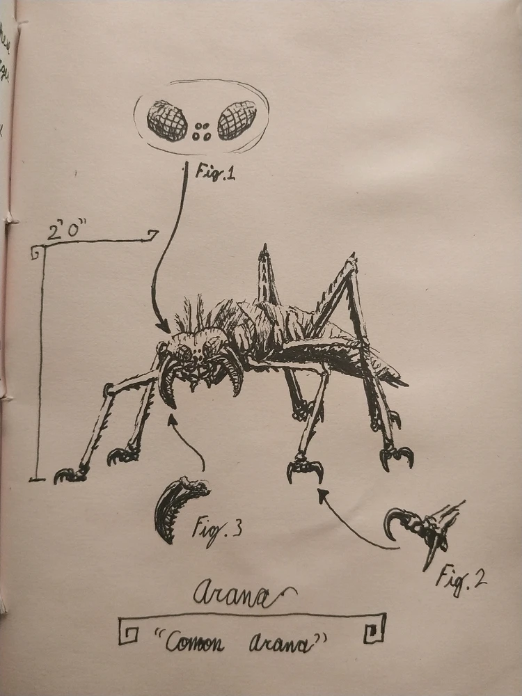 Image uploaded by Henry