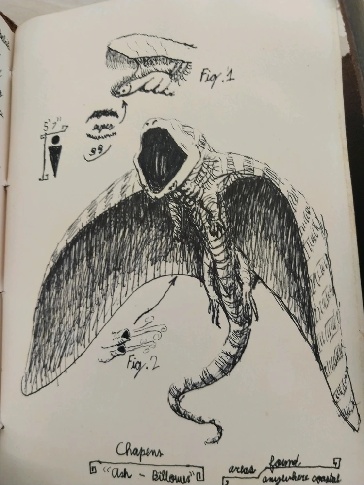 Image uploaded by Henry