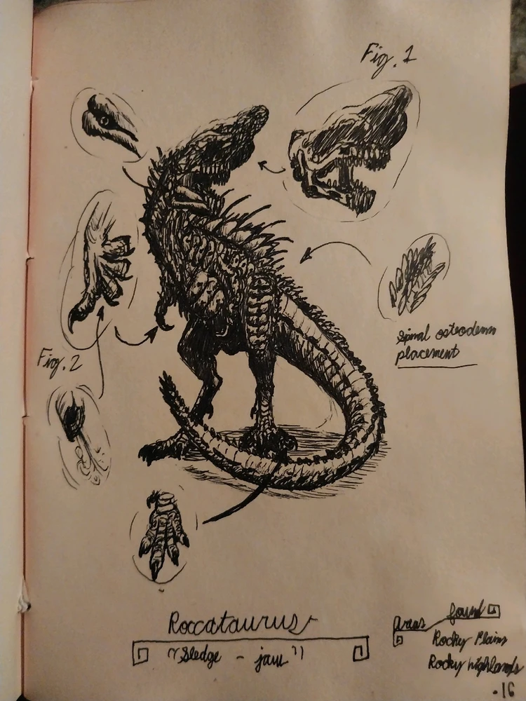 Image uploaded by Henry