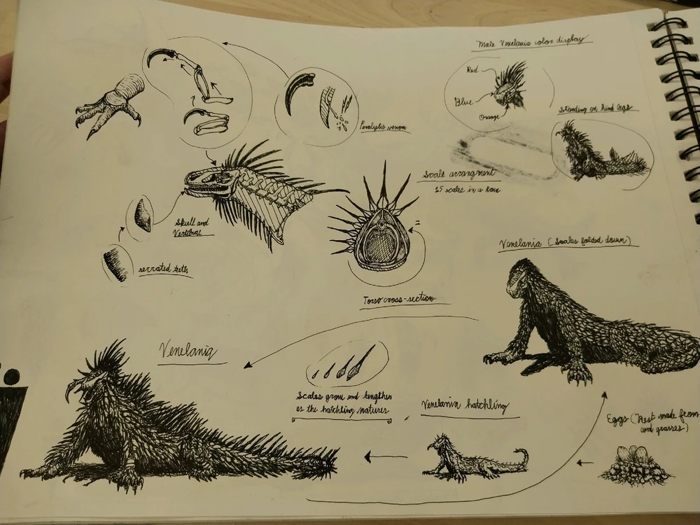 Image uploaded by Henry