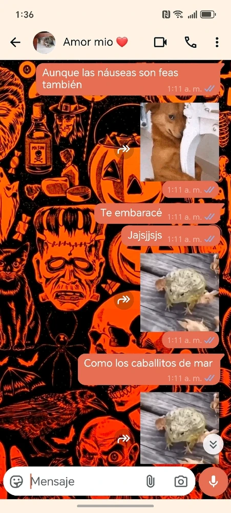 Imagen subida por Jacqueline