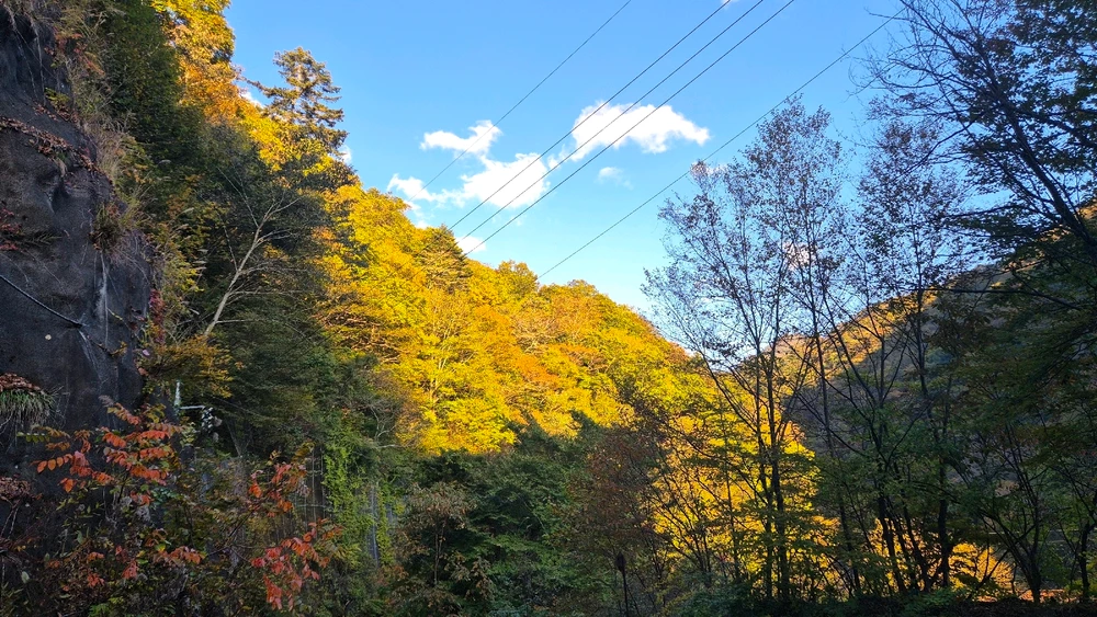 Image ajoutée par Moonsu