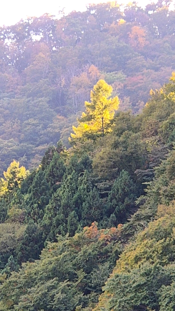 Image ajoutée par Moonsu