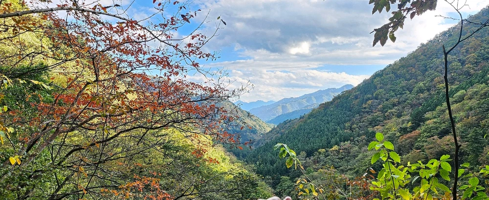 Image ajoutée par Moonsu